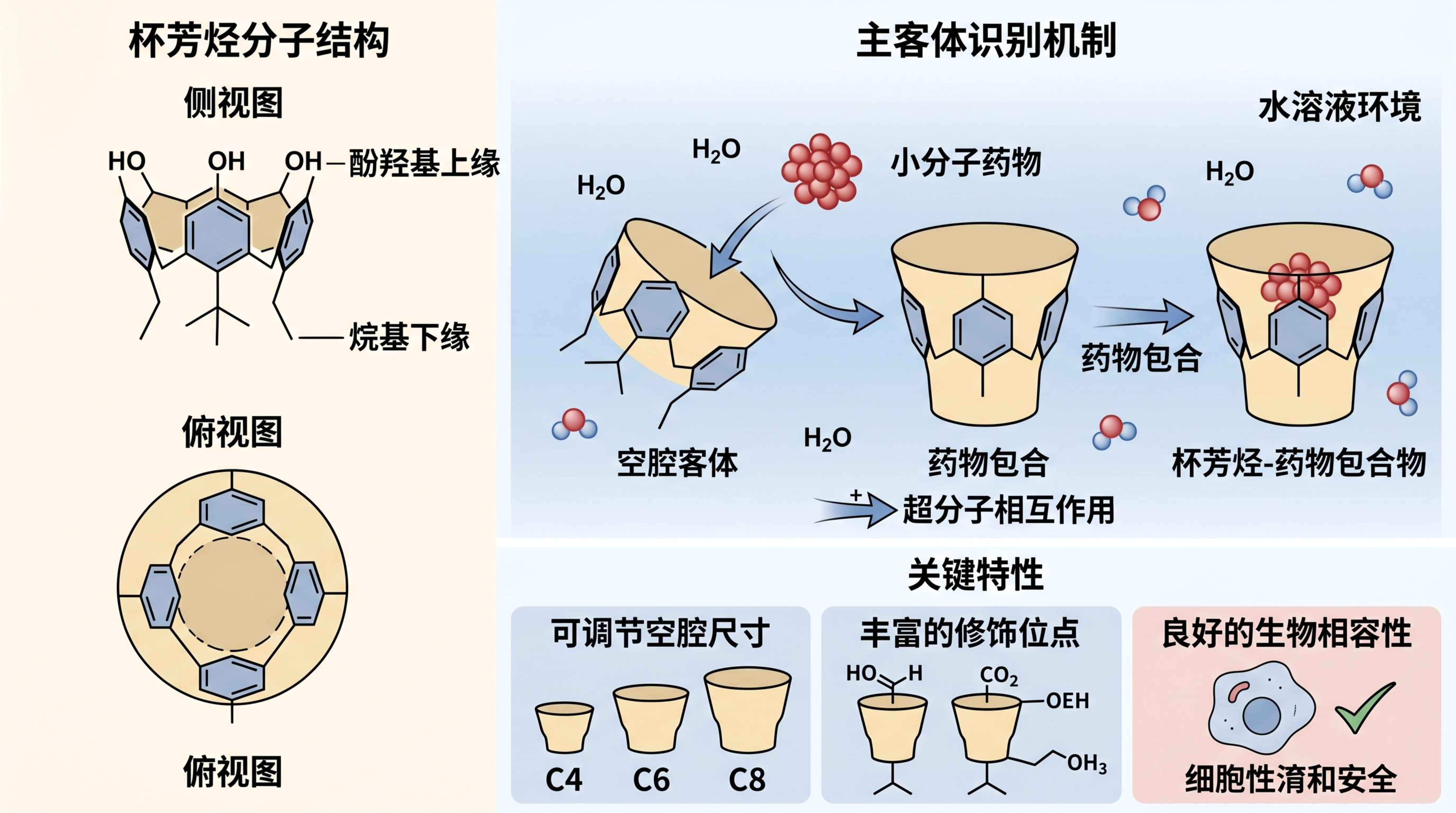 大环化合物与杯芳烃：超分子化学如何革新药物递送系统