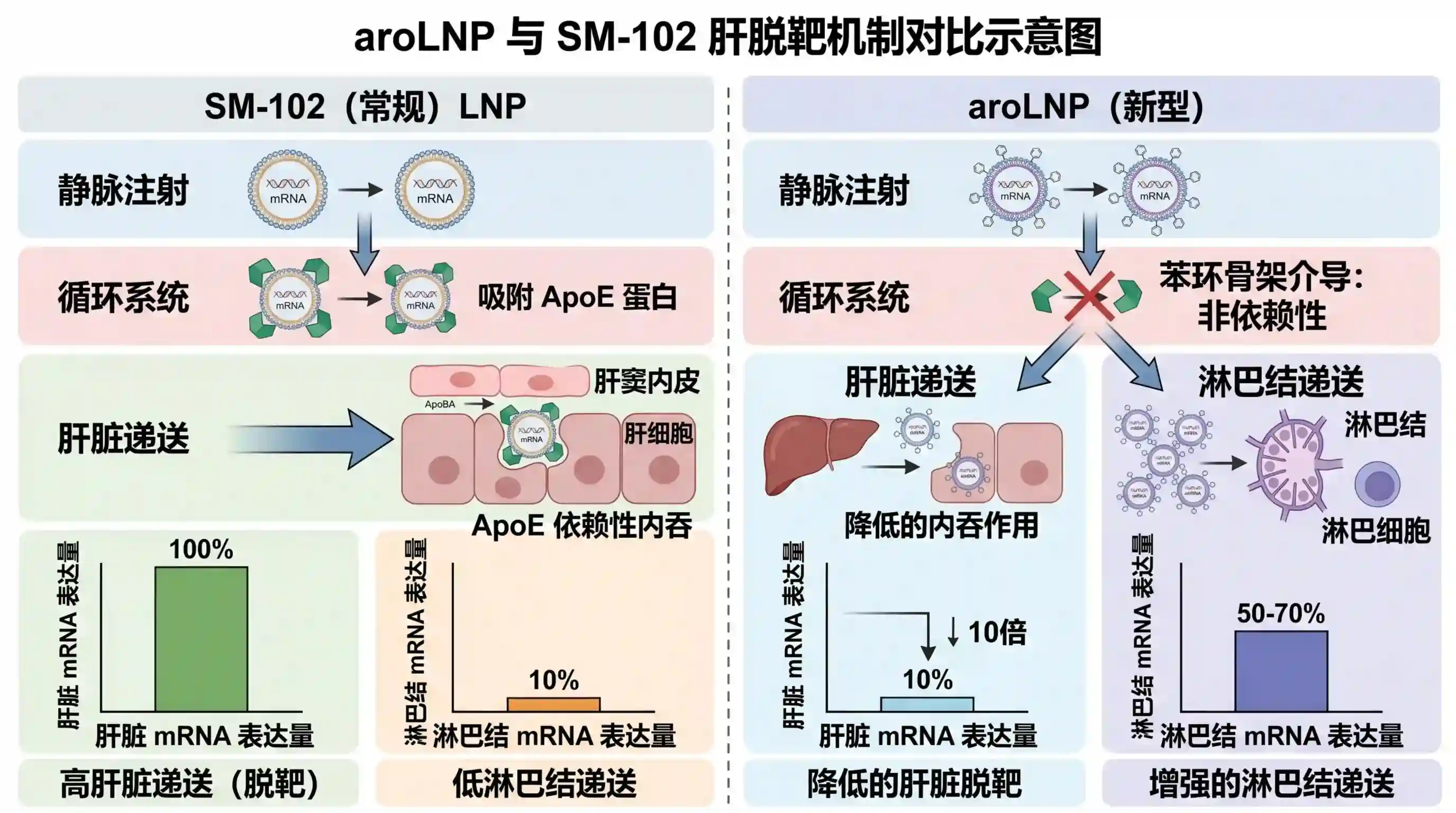 aroLNP与SM-102肝脱靶机制对比示意图：aroLNP通过苯环骨架实现ApoE非依赖性，肝脏mRNA表达降低10倍，淋巴结递送增强