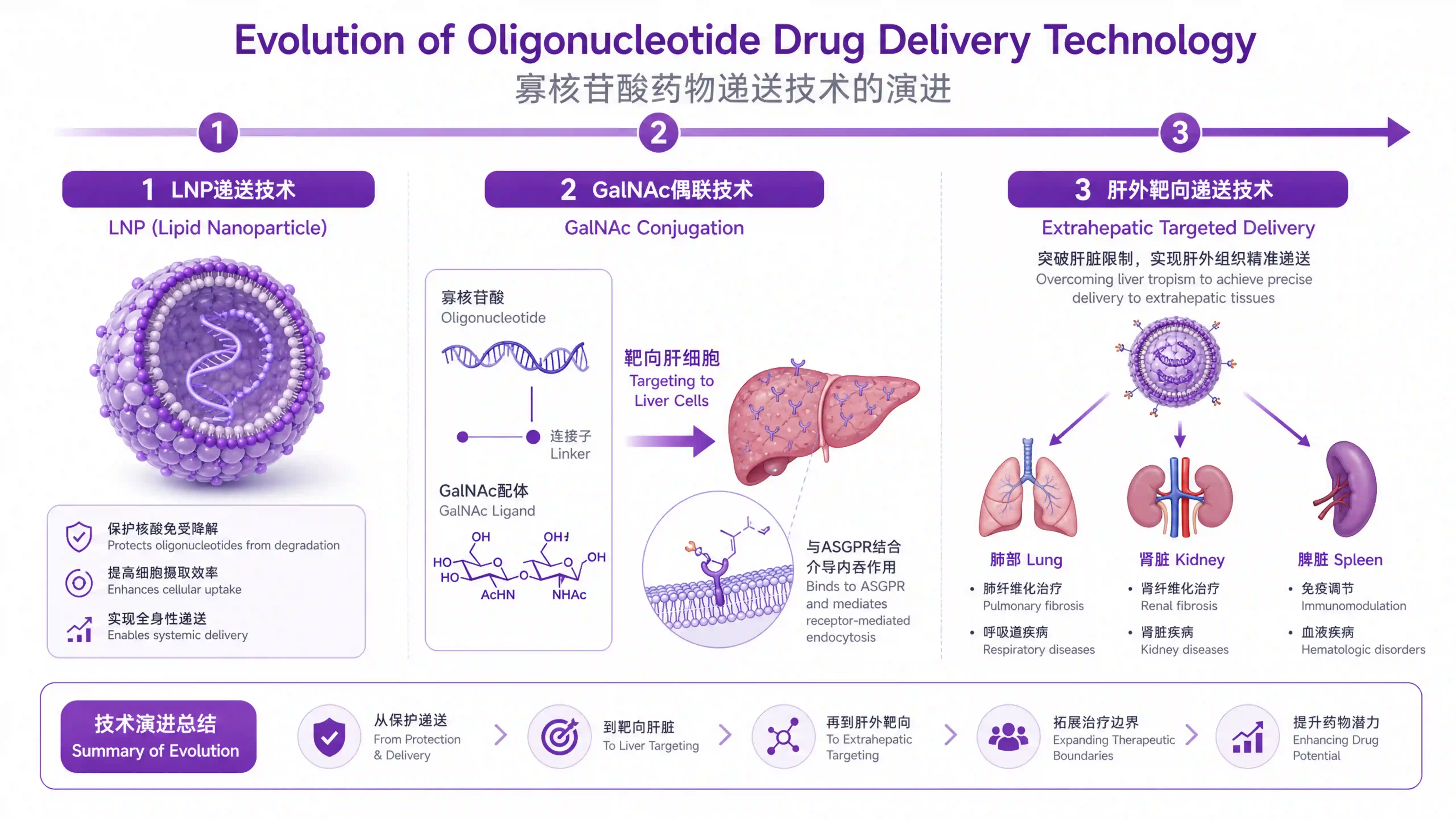 小核酸药物递送技术迭代路线图：从LNP脂质纳米颗粒到GalNAc偶联再到肝外靶向递送的技术演进示意