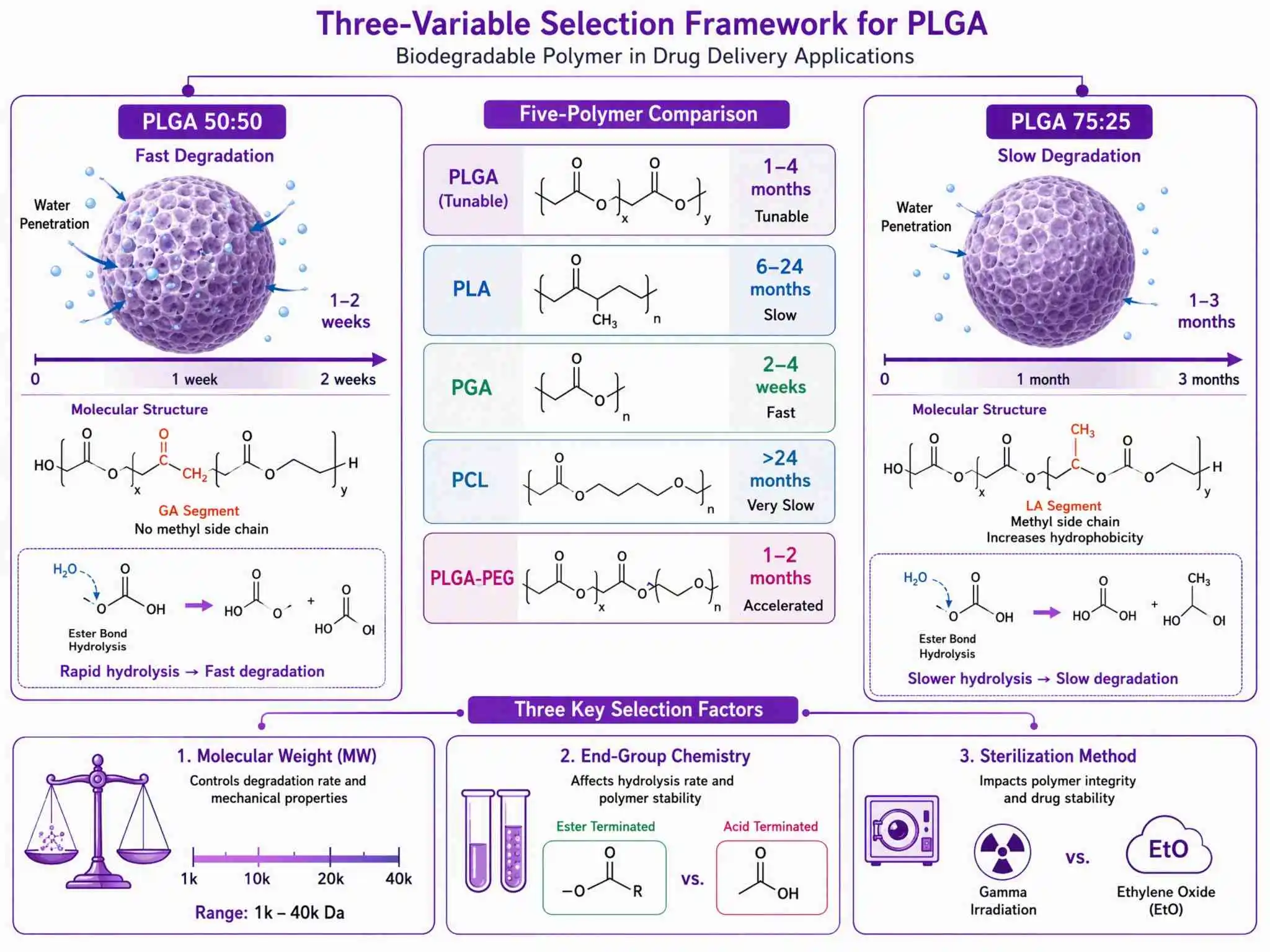 PLGA 聚乳酸-羟基乙酸共聚物：长效注射微球与药物递送的五款可降解聚合物选型