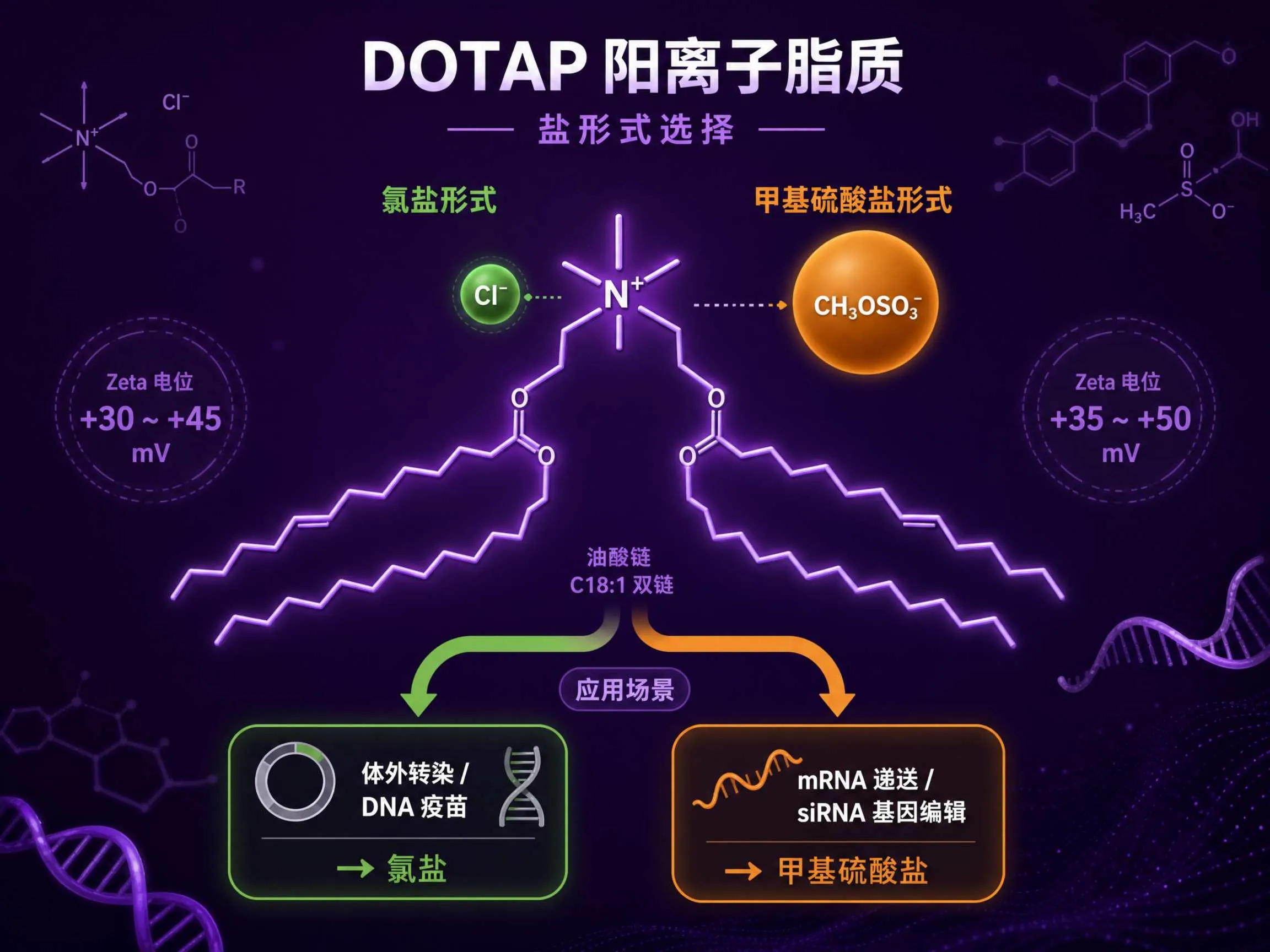 DOTAP 氯盐 vs 甲基硫酸盐：六组学场景下的阳离子脂质盐形式选择