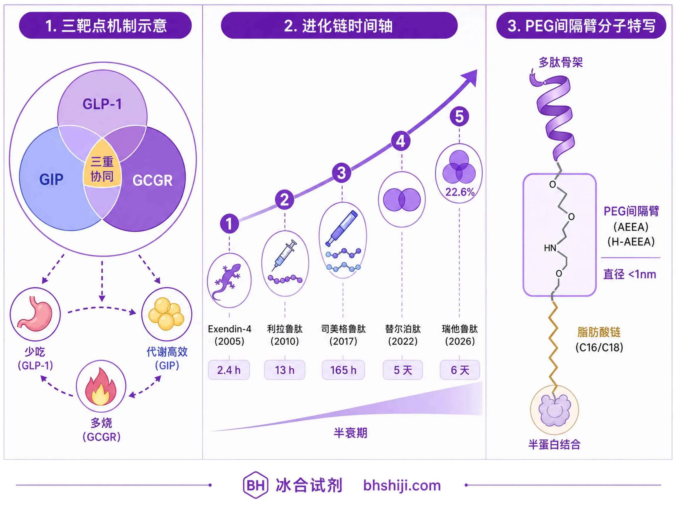 三靶点GLP-1时代来了&mdash;&mdash;瑞他鲁肽III期成功，减重药物从"双引擎"到"三档变速箱"