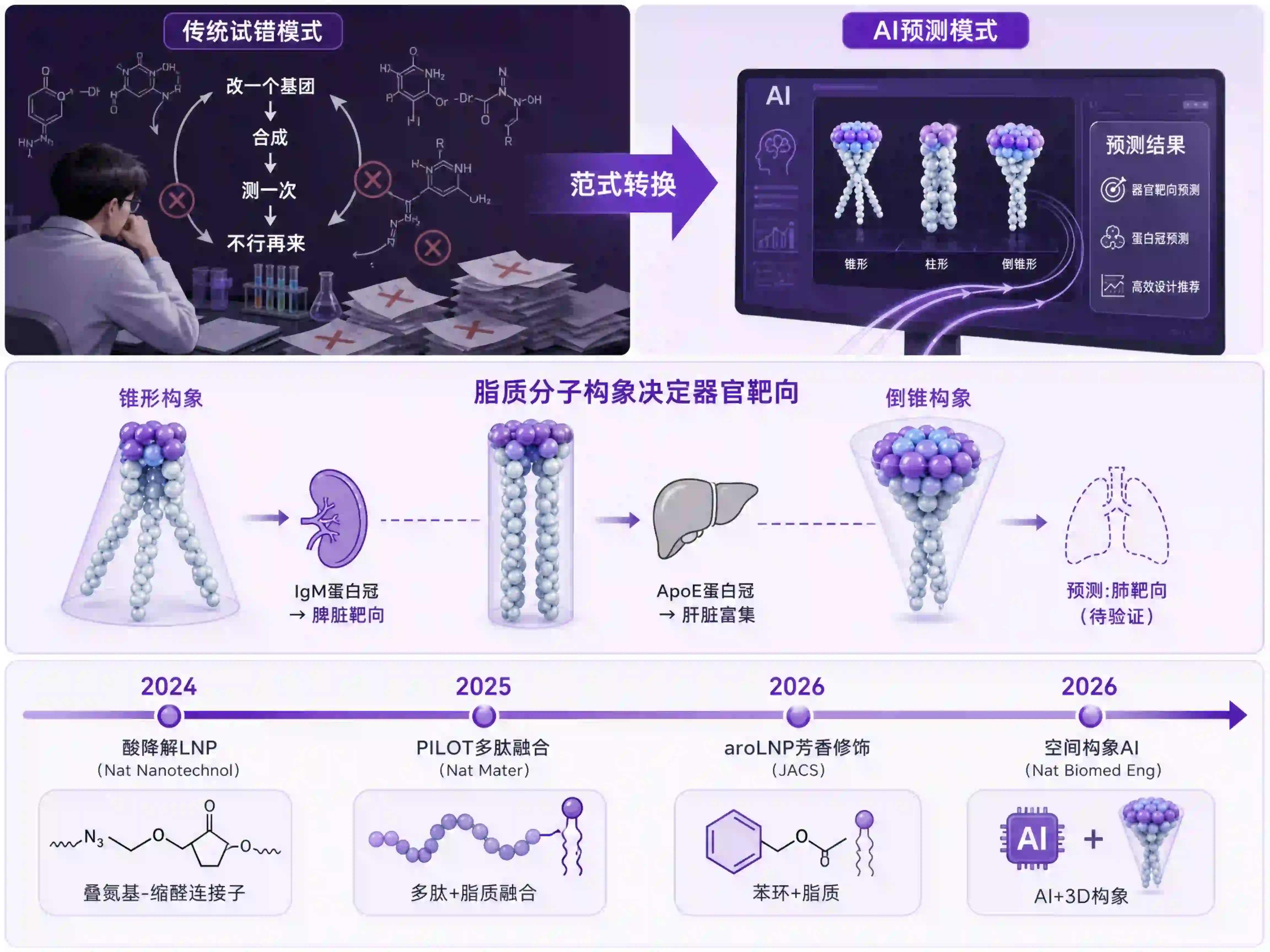 AI设计可电离脂质：从300次试错合成到1次精准预测，LNP递送效率的"算力革命"