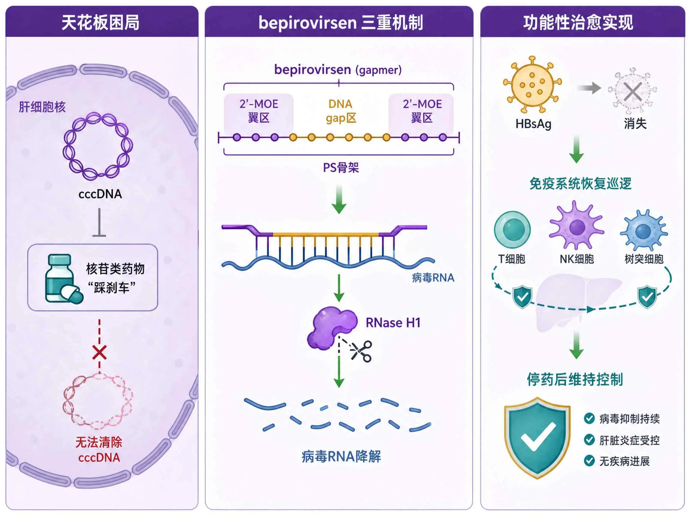 bepirovirsen与乙肝功能性治愈&mdash;&mdash;一小段ASO怎么做到核苷类药物做不到的事