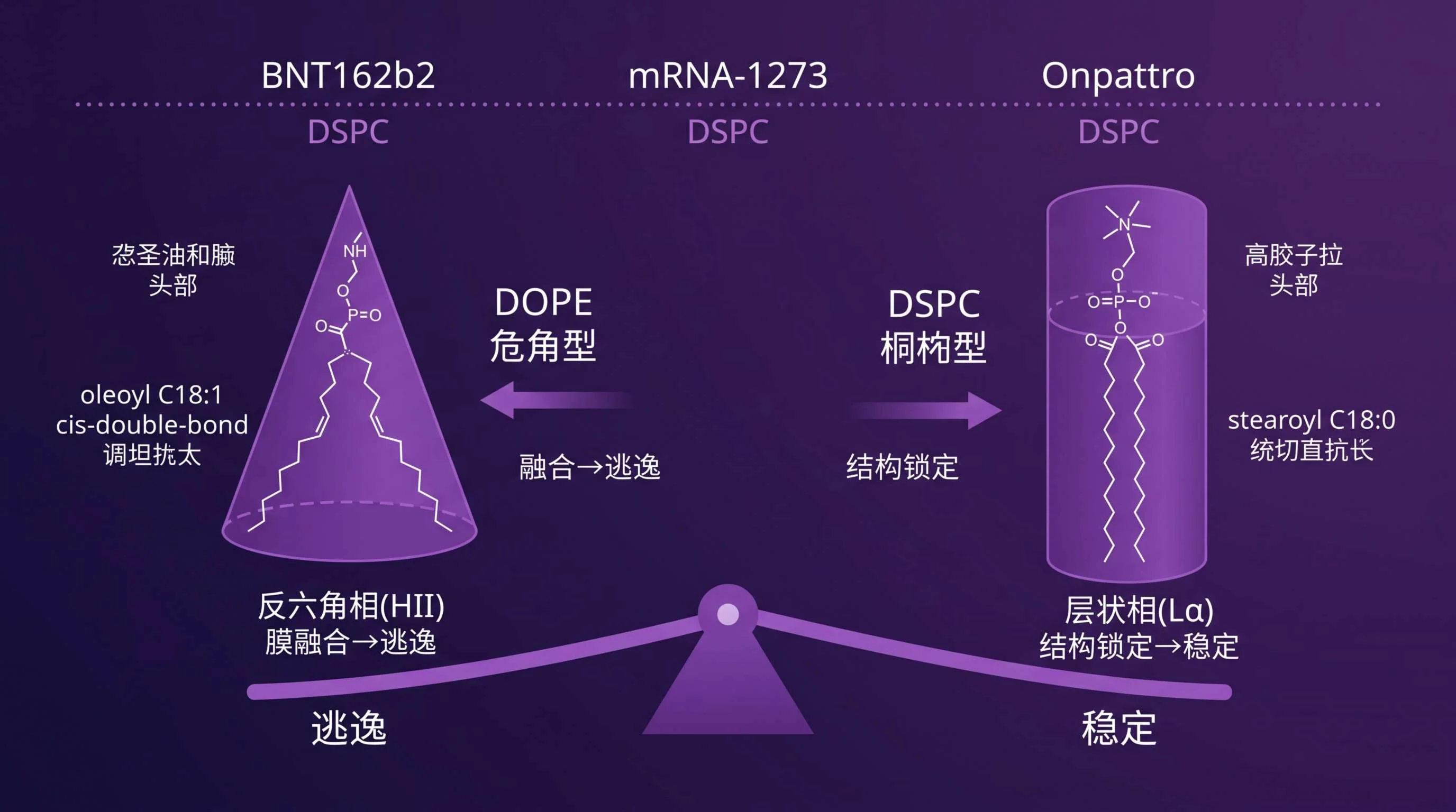 DOPE&mdash;&mdash;LNP配方中"稳定与逃逸"的平衡杆