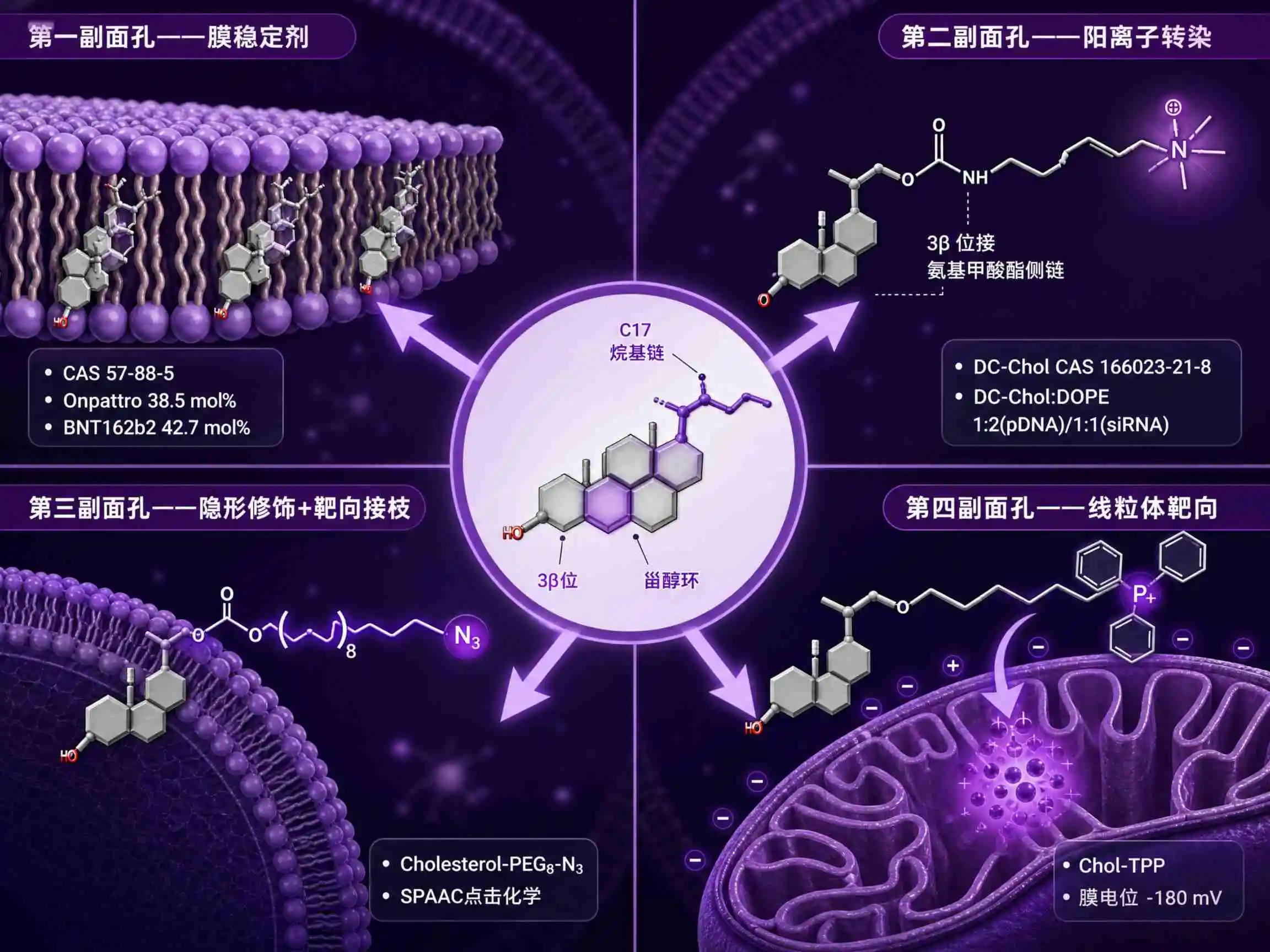 胆固醇进化论：从膜稳定剂到功能化脂质的选型指南