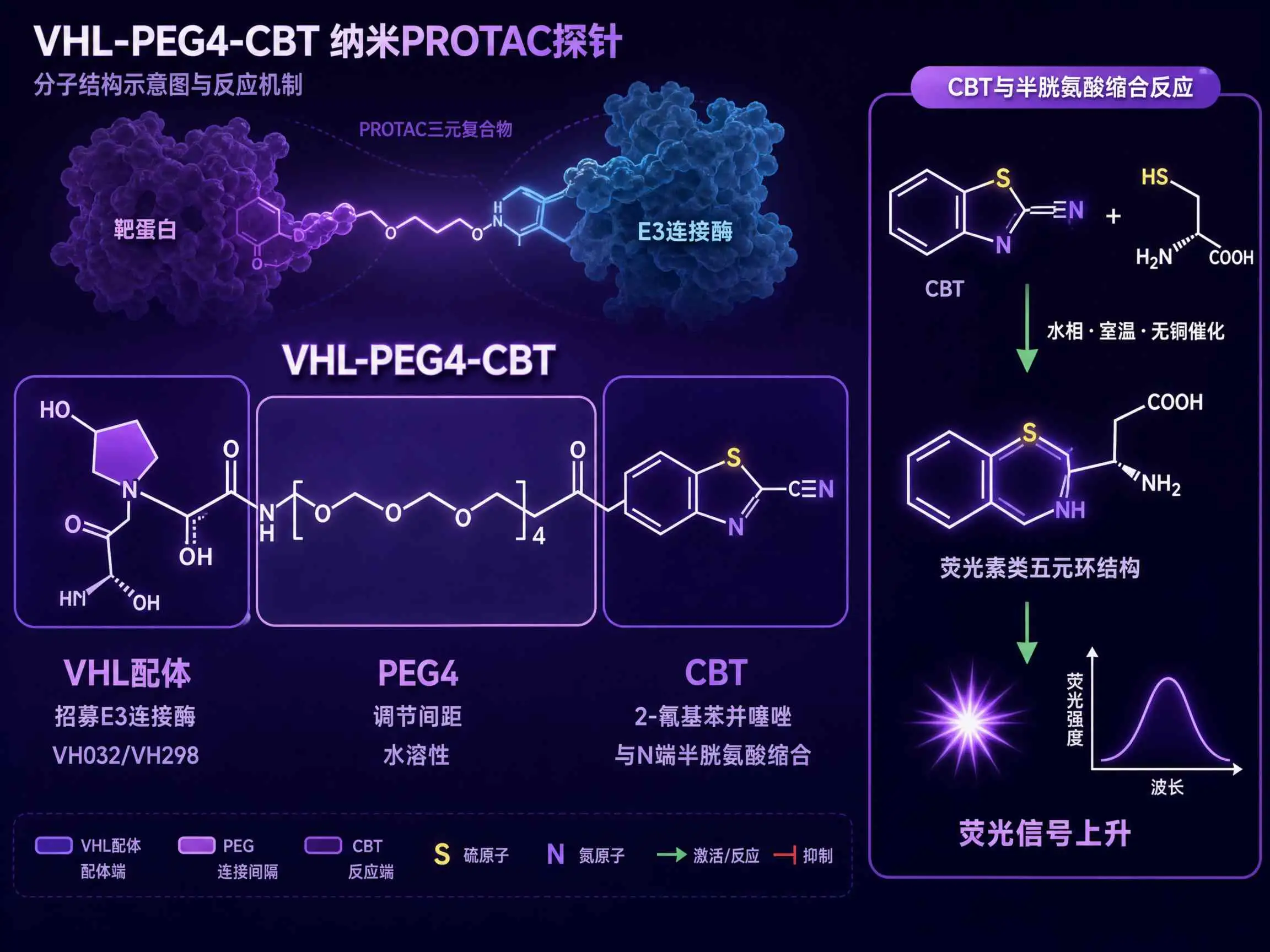 VHL-PEG4-CBT选型指南：三个关键判断