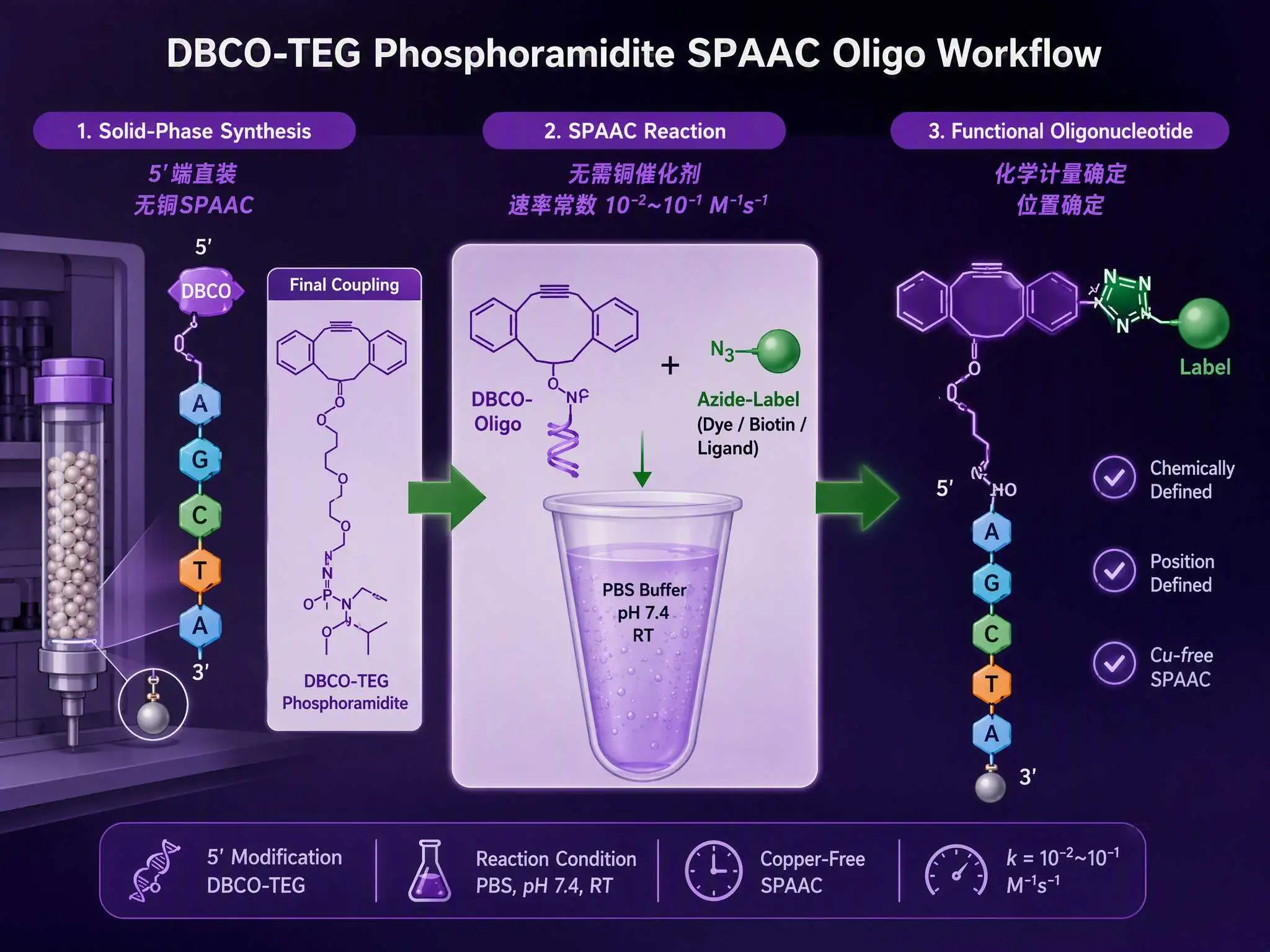 DBCO-TEG亚磷酰胺：固相直装5'端DBCO