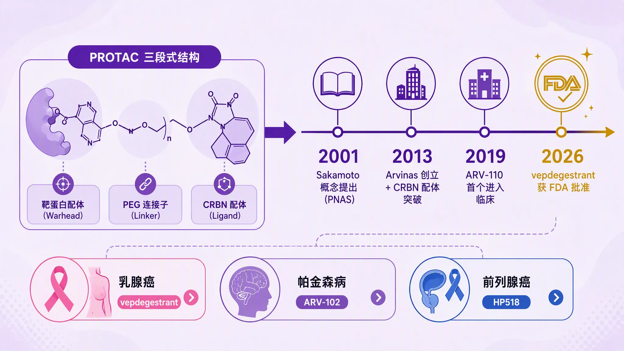 PROTAC 第二个十年：首个获批与 HP518