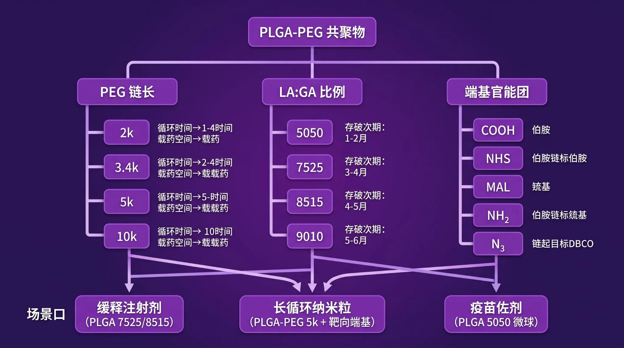 PLGA-PEG共聚物三维选型决策树示意图：PEG链长2k-10k、LA:GA比例5050至9010、端基COOH/NHS/MAL/NH2/N3三维度决定释放曲线与应用场景