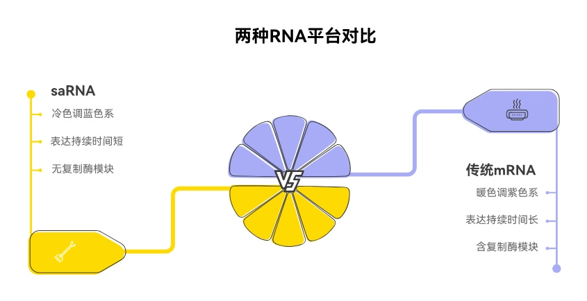 自复制RNA(saRNA)与传统mRNA平台对比示意图:saRNA携带甲病毒复制酶nsP1-4实现自扩增,剂量低至1-10微克,表达持续约28天,覆盖疫苗、肿瘤免疫与蛋白替代三大应用场景