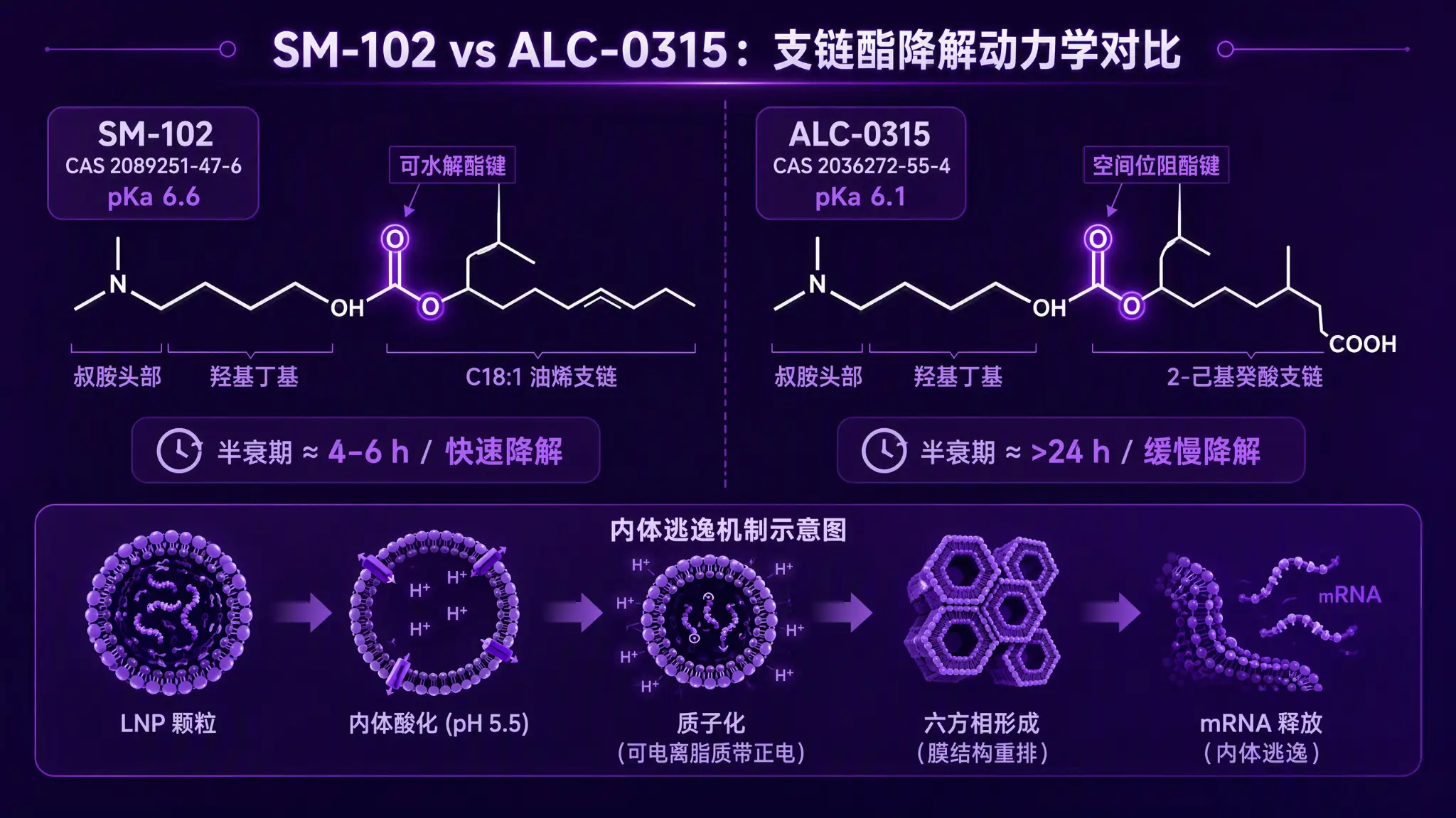 SM-102 与 ALC-0315 结构对比图:左侧 SM-102 含酯键可电离头与 C18:1 烯基支链;右侧 ALC-0315 含叔胺头与支链酯键结构,pKa 6.6 vs 6.1