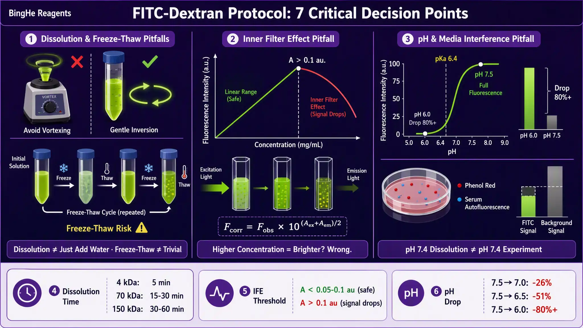 FITC-Dextran 实操避坑指南：从采购到成像的七个关键决策