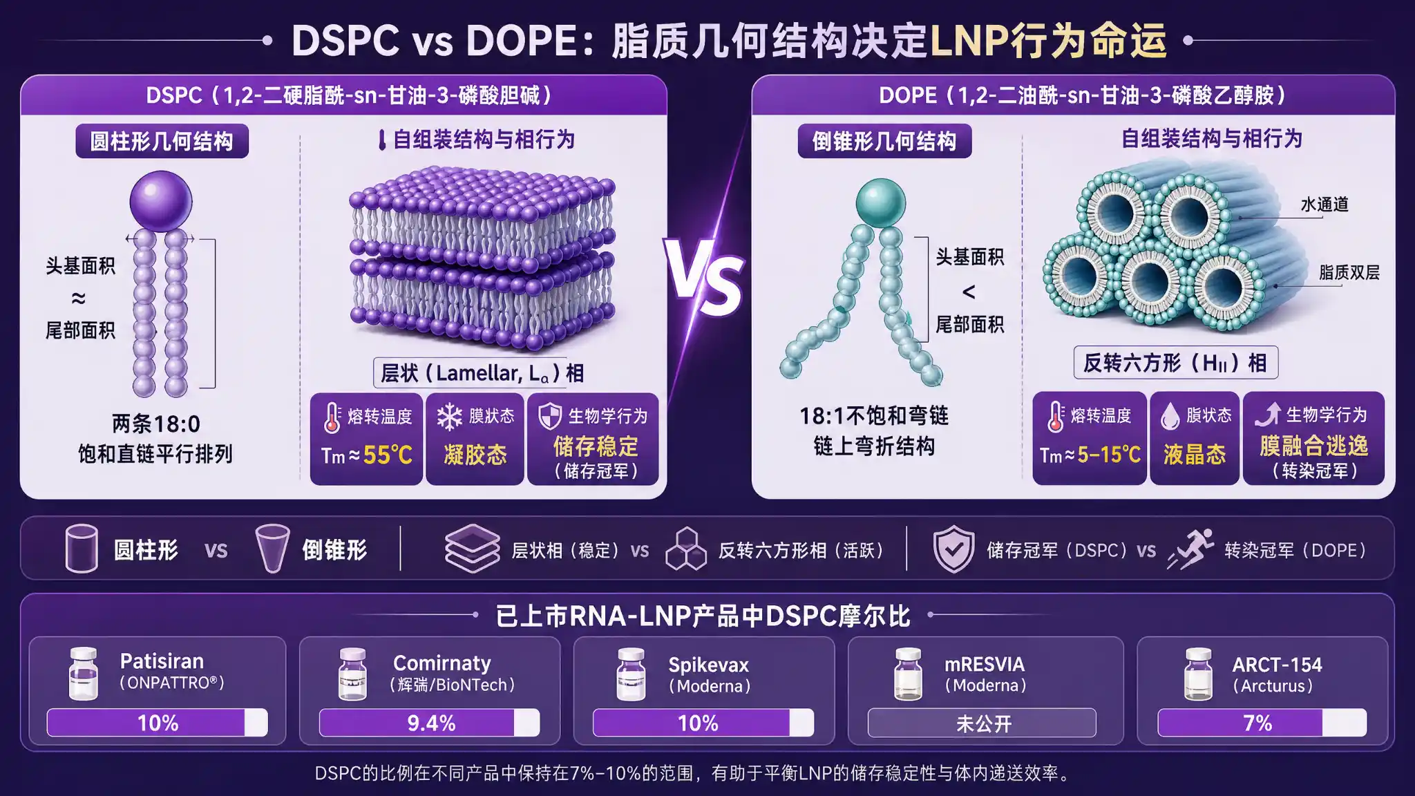 DSPC 与 DOPE 几何结构对比示意图:DSPC 圆柱形几何形成稳定层状结构(膜稳定性强、储存稳定性优)、DOPE 倒锥形几何形成反转六边形相(促进膜融合与内涵体逃逸),五款已上市 RNA-LNP 产品配方中 DSPC 摩尔比 7%-10%