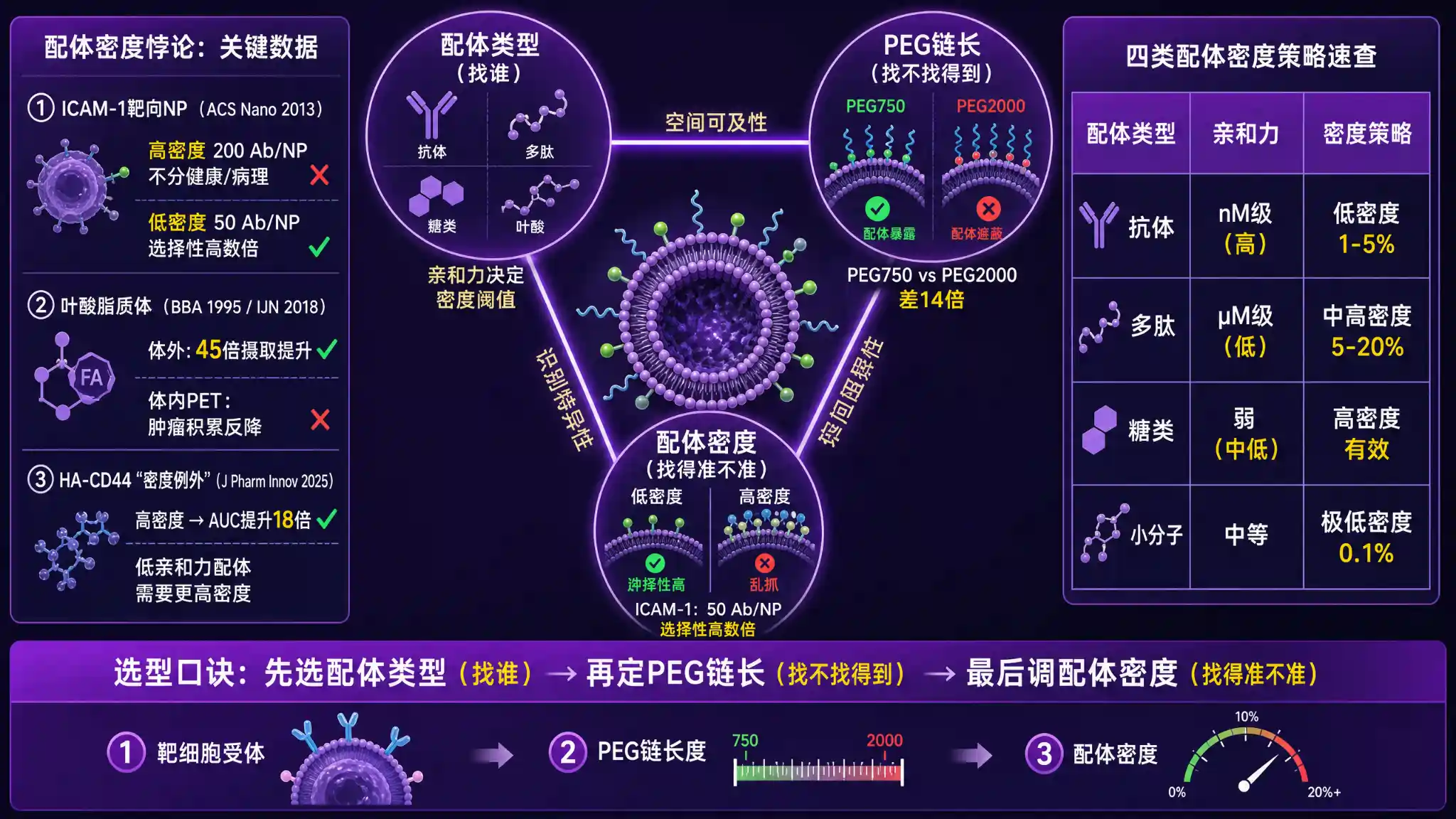 主动靶向脂质体配体密度悖论与三变量三角决策矩阵示意图