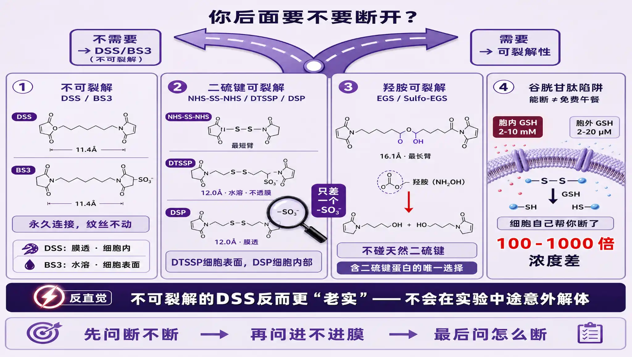 可裂解交联剂四维决策图:断不断决策分流器、四档交联剂面板对比、谷胱甘肽陷阱反常识高亮与选型口诀