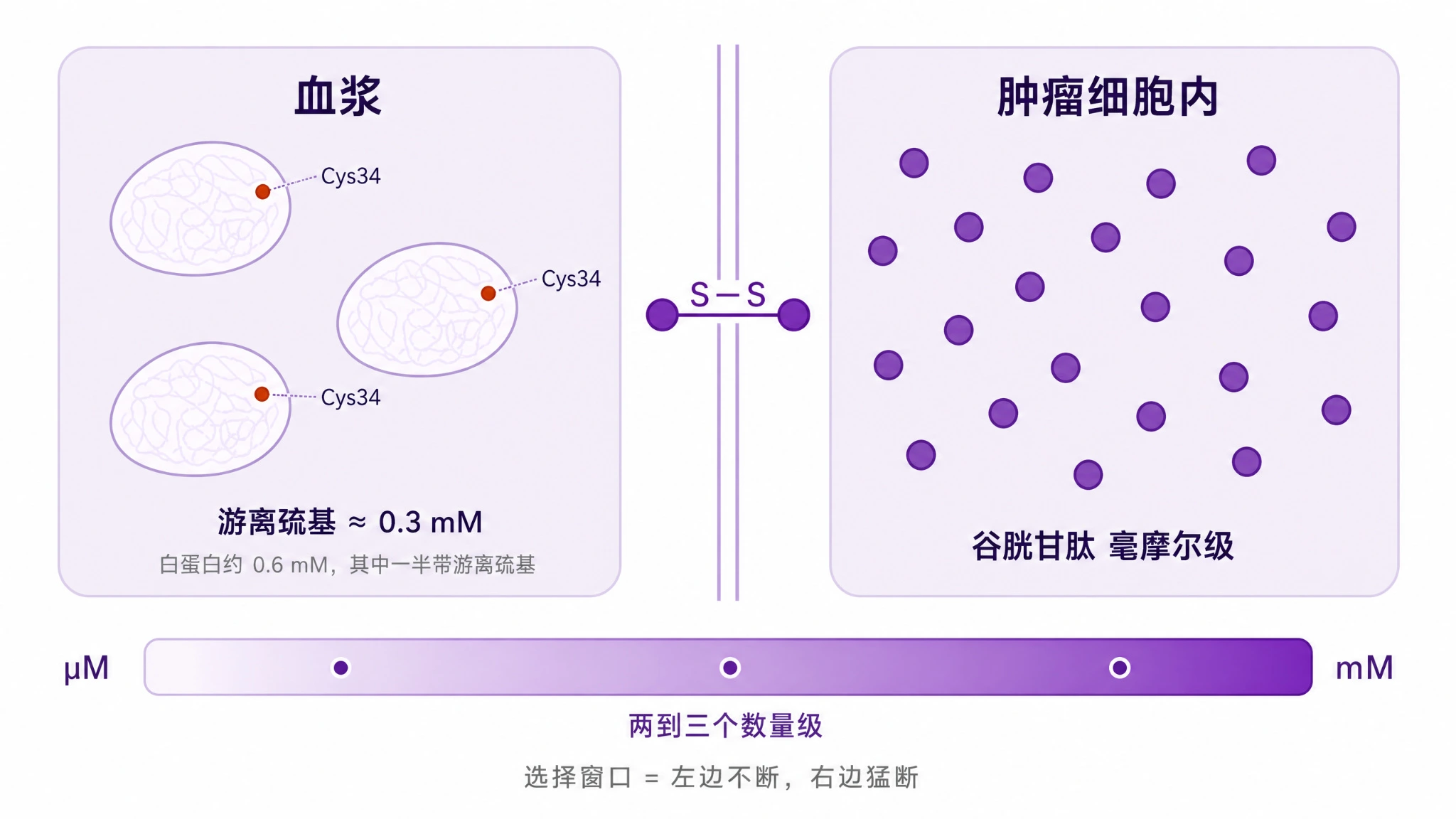 ADC血浆还原剂库与谷胱甘肽浓度梯度示意图，左侧示意白蛋白Cys34游离巯基浓度约0.3毫摩尔，右侧示意肿瘤细胞内谷胱甘肽达毫摩尔级，中间标注二硫键linker的选择性窗口