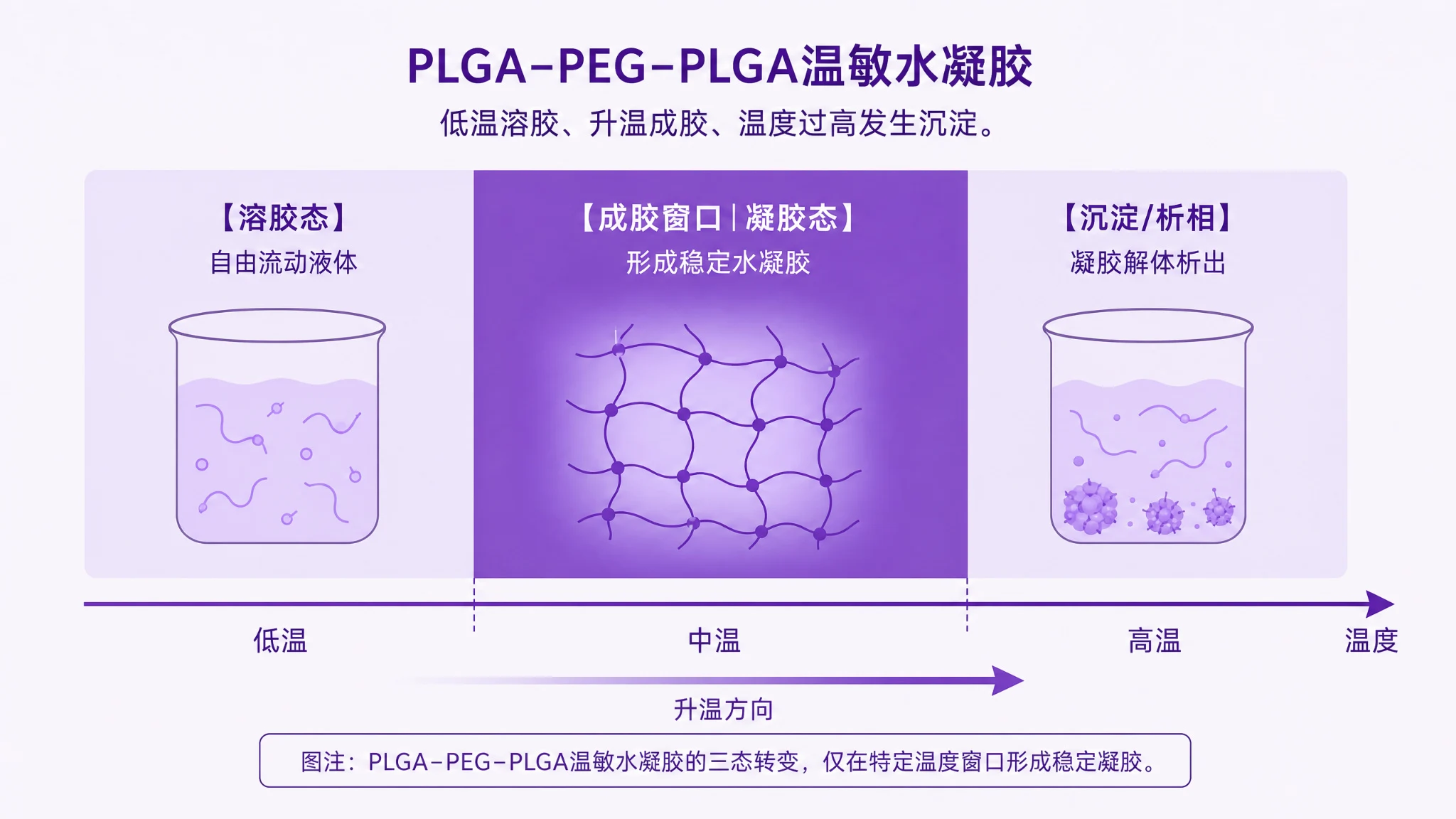 PLGA-PEG-PLGA 温敏水凝胶溶胶-凝胶-沉淀三阶段转变与成胶窗口温度区间示意图:低温区为可流动溶胶,升至相变点转为凝胶,温度继续升高后凝胶结构被破坏、聚合物沉淀析出,中间凝胶可稳定存在的温度区间即为成胶窗口